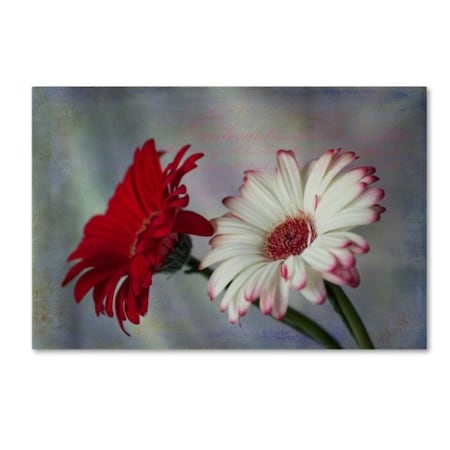 Trademark Fine Art Bob Rouse 'Red and White Daises' Canvas Art, 16x24 ALI16019-C1624GG
